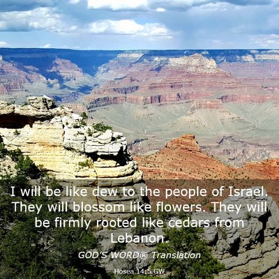 Picture 03 - Hosea 14:5 GW - I will be like dew to the people of Israel. They - Bible Verse Picture