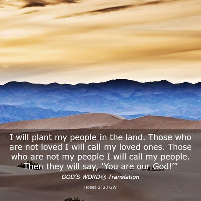Picture 03 - Hosea 2:23 GW - I will plant my people in the land. Those who are - Bible Verse Picture