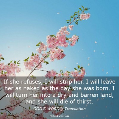 Picture 03 - Hosea 2:3 GW - If she refuses, I will strip her. I will leave - Bible Verse Picture