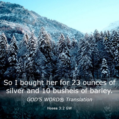 Picture 03 - Hosea 3:2 GW - So I bought her for 23 ounces of silver and 10 - Bible Verse Picture
