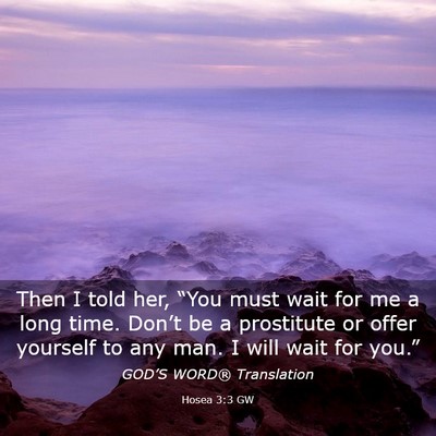 Picture 03 - Hosea 3:3 GW - Then I told her, “You must wait for me a long - Bible Verse Picture