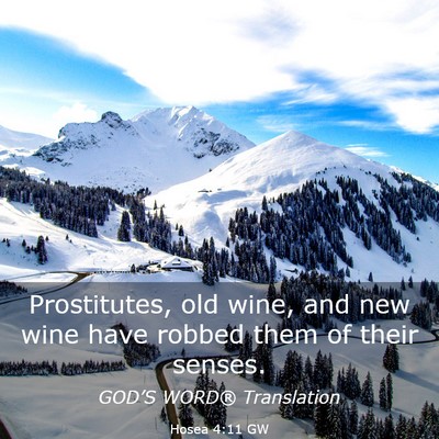 Picture 03 - Hosea 4:11 GW - Prostitutes, old wine, and new wine have robbed - Bible Verse Picture