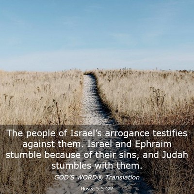 Picture 03 - Hosea 5:5 GW - The people of Israel’s arrogance testifies - Bible Verse Picture