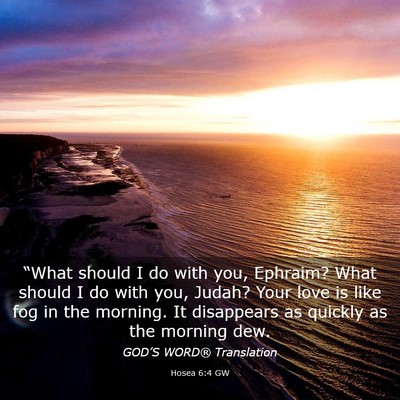 Picture 03 - Hosea 6:4 GW - “What should I do with you, Ephraim? What - Bible Verse Picture