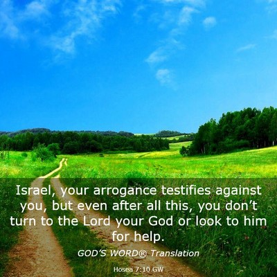Picture 03 - Hosea 7:10 GW - Israel, your arrogance testifies against you, but - Bible Verse Picture