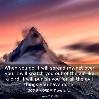 Picture 03 - Hosea 7:12 GW - When you go, I will spread my net over you. I - Bible Verse Picture