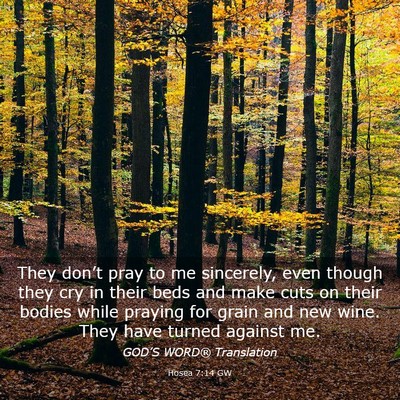 Picture 03 - Hosea 7:14 GW - They don’t pray to me sincerely, even though - Bible Verse Picture