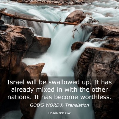 Picture 03 - Hosea 8:8 GW - Israel will be swallowed up. It has already mixed - Bible Verse Picture
