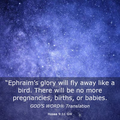 Picture 03 - Hosea 9:11 GW - “Ephraim’s glory will fly away like a bird. - Bible Verse Picture