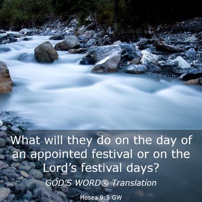 Picture 03 - Hosea 9:5 GW - What will they do on the day of an appointed - Bible Verse Picture