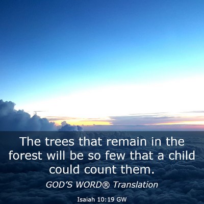 Picture 03 - Isaiah 10:19 GW - The trees that remain in the forest will be so - Bible Verse Picture