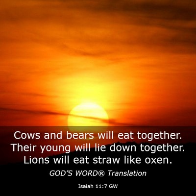 Picture 03 - Isaiah 11:7 GW - Cows and bears will eat together. Their young - Bible Verse Picture