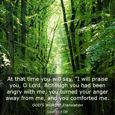 Picture 03 - Isaiah 12:1 GW - At that time you will say, “I will praise you, - Bible Verse Picture