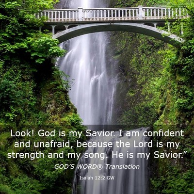 Picture 03 - Isaiah 12:2 GW - Look! God is my Savior. I am confident and - Bible Verse Picture