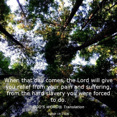 Picture 03 - Isaiah 14:3 GW - When that day comes, the Lord will give you - Bible Verse Picture