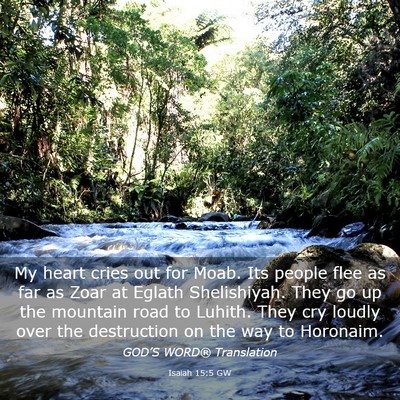 Picture 03 - Isaiah 15:5 GW - My heart cries out for Moab. Its people flee as - Bible Verse Picture