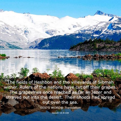 Picture 03 - Isaiah 16:8 GW - The fields of Heshbon and the vineyards of Sibmah - Bible Verse Picture