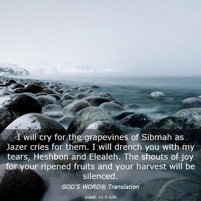 Picture 03 - Isaiah 16:9 GW - I will cry for the grapevines of Sibmah as Jazer - Bible Verse Picture
