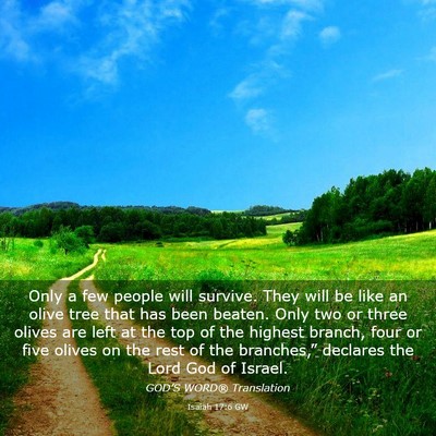 Picture 03 - Isaiah 17:6 GW - Only a few people will survive. They will be like - Bible Verse Picture