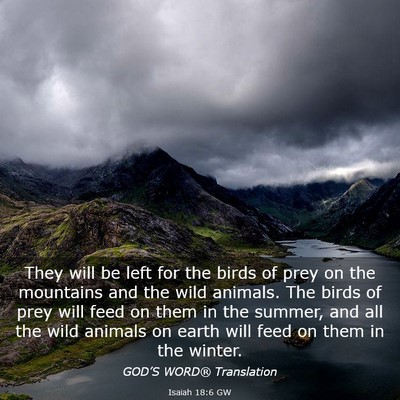 Picture 03 - Isaiah 18:6 GW - They will be left for the birds of prey on the - Bible Verse Picture