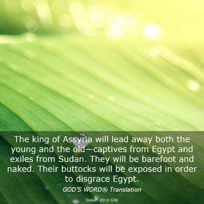 Picture 03 - Isaiah 20:4 GW - The king of Assyria will lead away both the young - Bible Verse Picture
