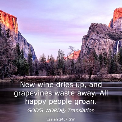 Picture 03 - Isaiah 24:7 GW - New wine dries up, and grapevines waste away. All - Bible Verse Picture