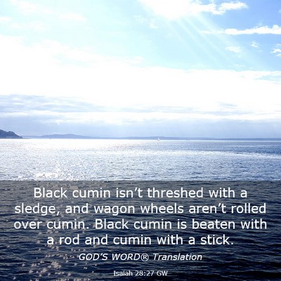 Picture 03 - Isaiah 28:27 GW - Black cumin isn’t threshed with a sledge, and - Bible Verse Picture