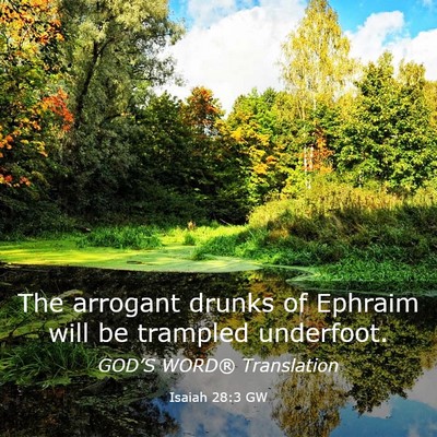 Picture 03 - Isaiah 28:3 GW - The arrogant drunks of Ephraim will be trampled - Bible Verse Picture