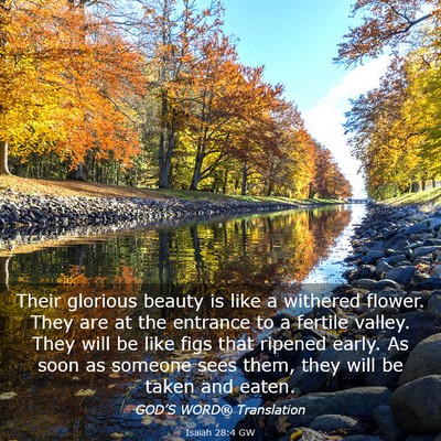 Picture 03 - Isaiah 28:4 GW - Their glorious beauty is like a withered flower. - Bible Verse Picture