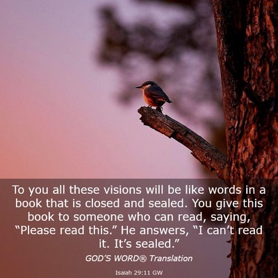 Picture 03 - Isaiah 29:11 GW - To you all these visions will be like words in a - Bible Verse Picture