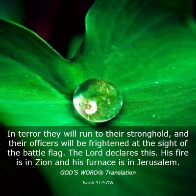 Picture 03 - Isaiah 31:9 GW - In terror they will run to their stronghold, and - Bible Verse Picture