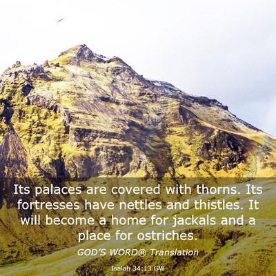 Picture 03 - Isaiah 34:13 GW - Its palaces are covered with thorns. Its - Bible Verse Picture