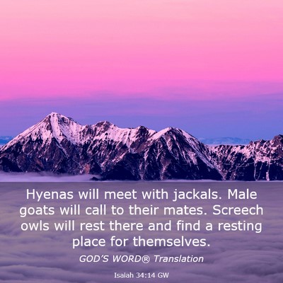 Picture 03 - Isaiah 34:14 GW - Hyenas will meet with jackals. Male goats will - Bible Verse Picture