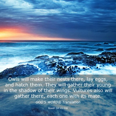 Picture 03 - Isaiah 34:15 GW - Owls will make their nests there, lay eggs, and - Bible Verse Picture