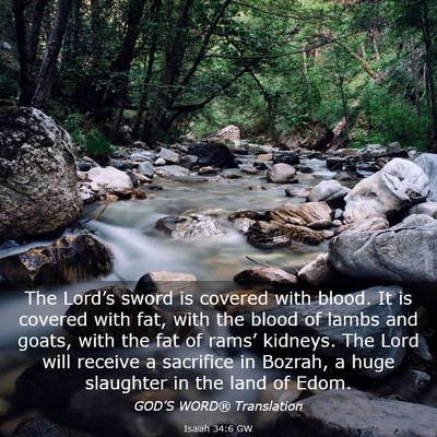 Picture 03 - Isaiah 34:6 GW - The Lord’s sword is covered with blood. It is - Bible Verse Picture