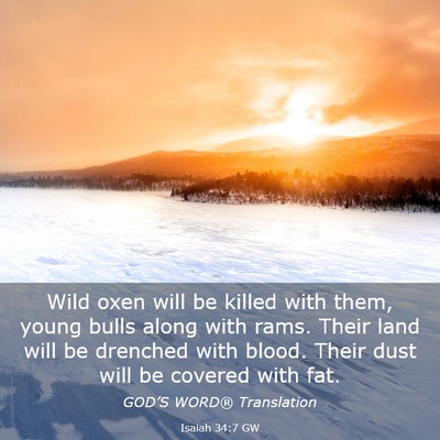 Picture 03 - Isaiah 34:7 GW - Wild oxen will be killed with them, young bulls - Bible Verse Picture