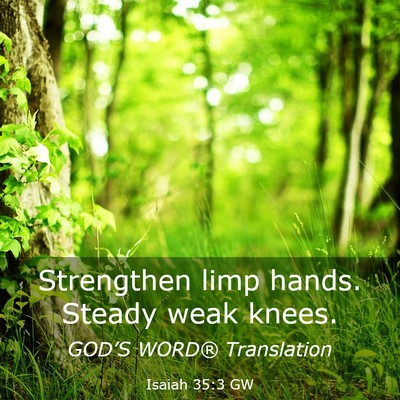 Picture 03 - Isaiah 35:3 GW - Strengthen limp hands. Steady weak - Bible Verse Picture