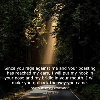 Picture 03 - Isaiah 37:29 GW - Since you rage against me and your boasting has - Bible Verse Picture