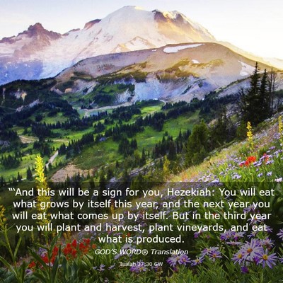 Picture 03 - Isaiah 37:30 GW - “‘And this will be a sign for you, Hezekiah: - Bible Verse Picture
