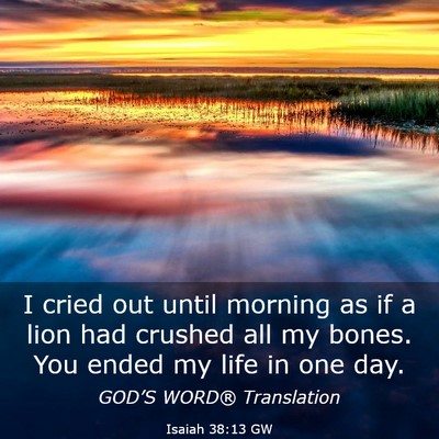 Picture 03 - Isaiah 38:13 GW - I cried out until morning as if a lion had - Bible Verse Picture