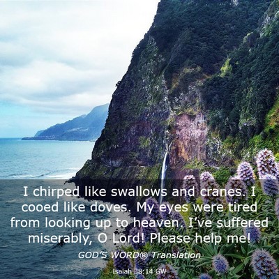 Picture 03 - Isaiah 38:14 GW - I chirped like swallows and cranes. I cooed like - Bible Verse Picture