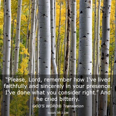 Picture 03 - Isaiah 38:3 GW - “Please, Lord, remember how I’ve lived - Bible Verse Picture