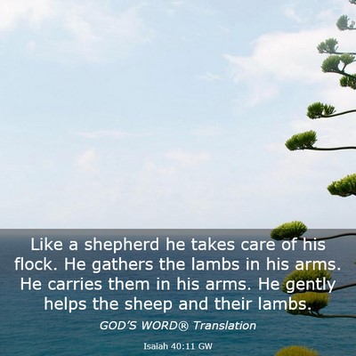 Picture 03 - Isaiah 40:11 GW - Like a shepherd he takes care of his flock. He - Bible Verse Picture