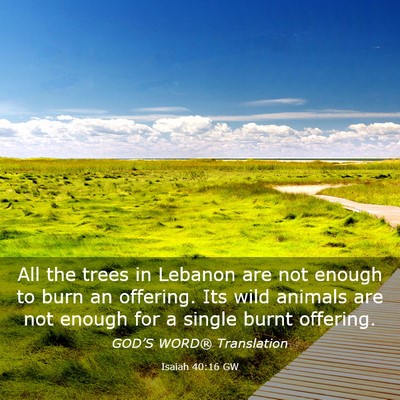 Picture 03 - Isaiah 40:16 GW - All the trees in Lebanon are not enough to burn - Bible Verse Picture