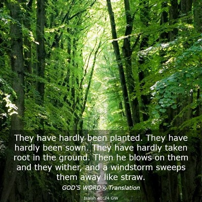Picture 03 - Isaiah 40:24 GW - They have hardly been planted. They have hardly - Bible Verse Picture