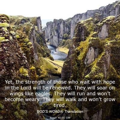 Picture 03 - Isaiah 40:31 GW - Yet, the strength of those who wait with hope in - Bible Verse Picture