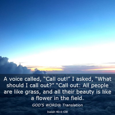 Picture 03 - Isaiah 40:6 GW - A voice called, “Call out!” I asked, “What - Bible Verse Picture