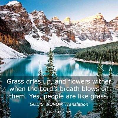 Picture 03 - Isaiah 40:7 GW - Grass dries up, and flowers wither when the - Bible Verse Picture