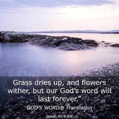 Picture 03 - Isaiah 40:8 GW - Grass dries up, and flowers wither, but our - Bible Verse Picture