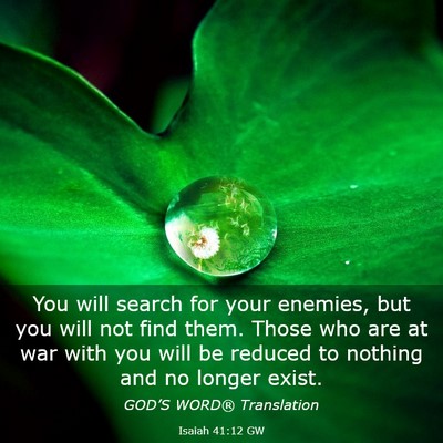 Picture 03 - Isaiah 41:12 GW - You will search for your enemies, but you will - Bible Verse Picture